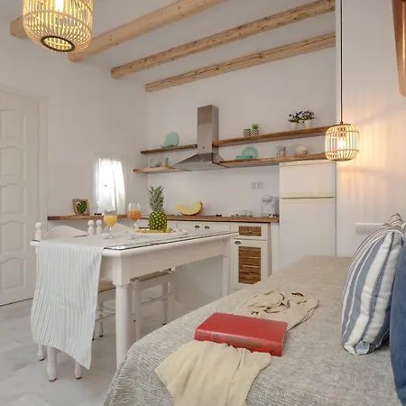 شقة فندقية Birikos & 4*