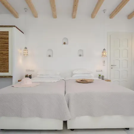 Aparthotel Birikos & Agios Prokopios (Naxos)